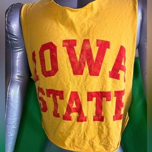 2000s Vintage College Crop Tee Iowa State